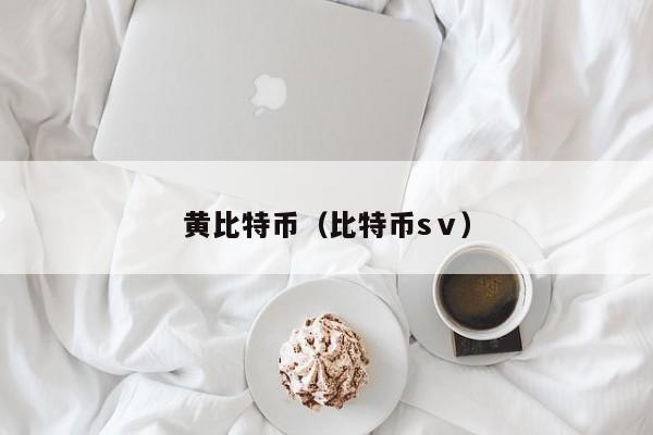 黄比特币(比特币sⅴ)