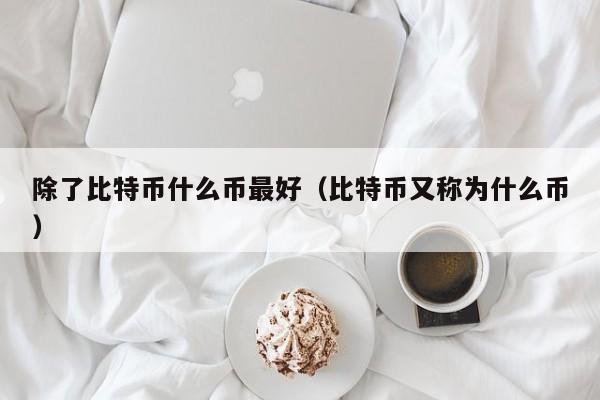 除了比特币什么币最好(比特币又称为什么币)