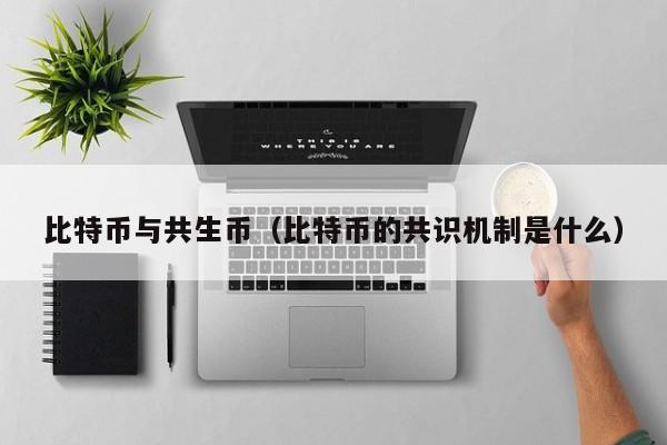 比特币与共生币(比特币的共识机制是什么)