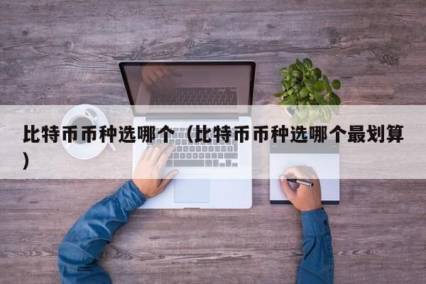 比特币币种选哪个(比特币币种选哪个最划算)