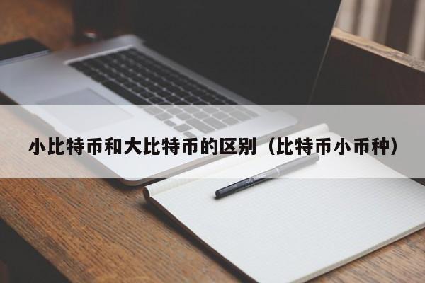 小比特币和大比特币的区别(比特币小币种)