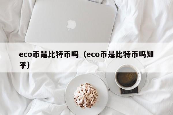 eco币是比特币吗(eco币是比特币吗知乎)