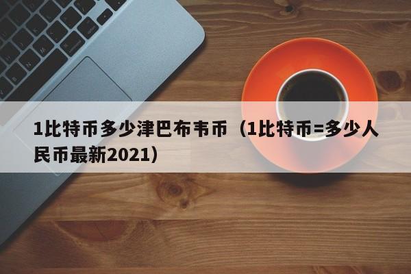1比特币多少津巴布韦币(1比特币=多少人民币最新2021)