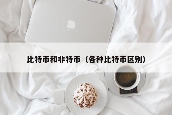 比特币和非特币(各种比特币区别)