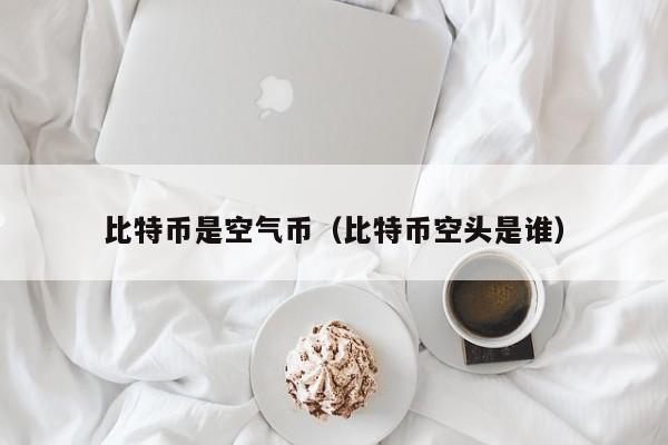 比特币是空气币(比特币空头是谁)
