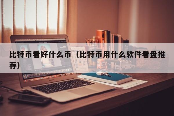 比特币看好什么币(比特币用什么软件看盘推荐)