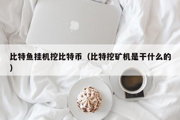 比特鱼挂机挖比特币(比特挖矿机是干什么的)