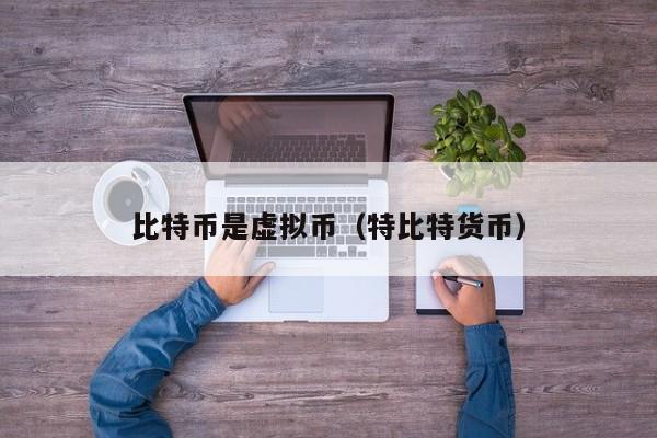 比特币是虚拟币(特比特货币)