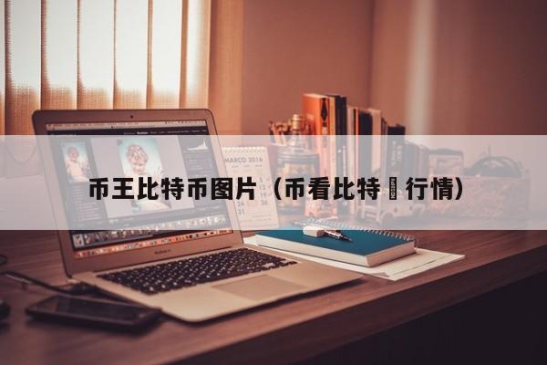 币王比特币图片(币看比特帀行情)