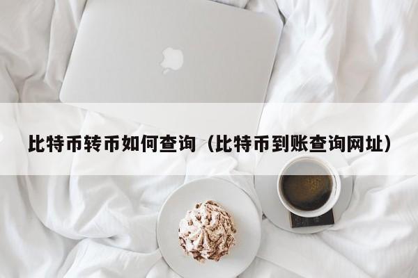 比特币转币如何查询(比特币到账查询网址)