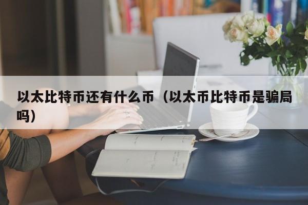以太比特币还有什么币(以太币比特币是骗局吗)