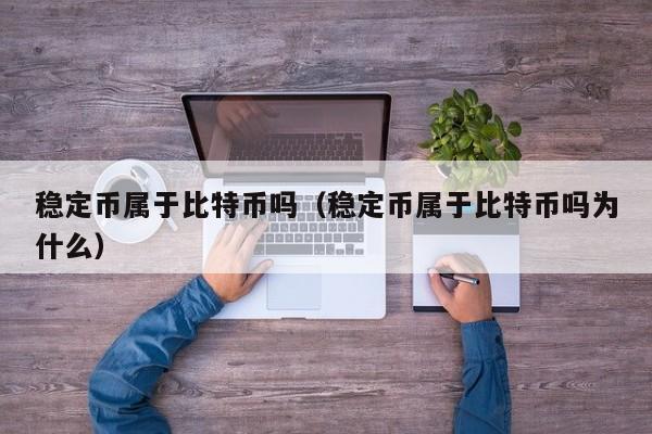 稳定币属于比特币吗(稳定币属于比特币吗为什么)