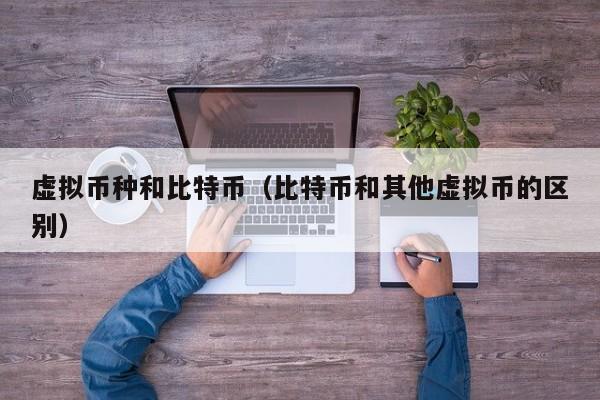 虚拟币种和比特币(比特币和其他虚拟币的区别)