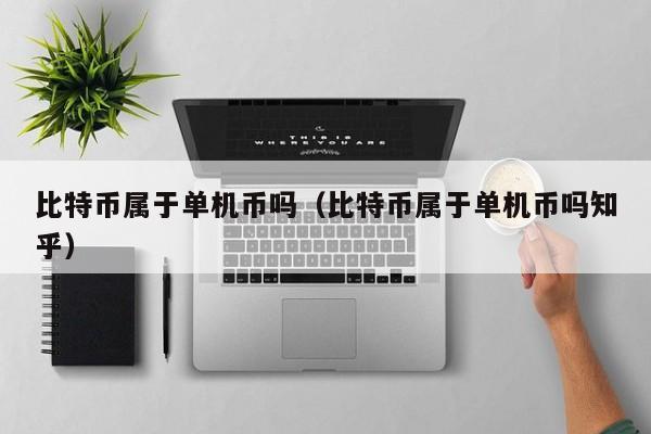 比特币属于单机币吗(比特币属于单机币吗知乎)