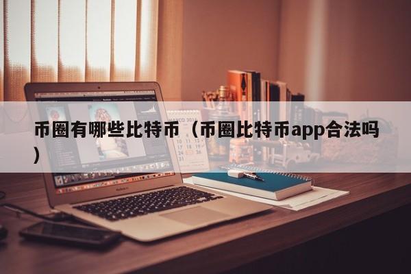 币圈有哪些比特币(币圈比特币app合法吗)