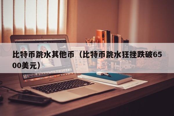 比特币跳水其他币(比特币跳水狂挫跌破6500美元)