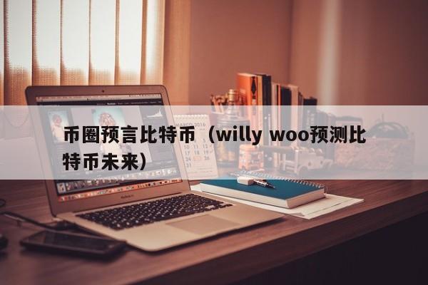 币圈预言比特币(willy woo预测比特币未来)