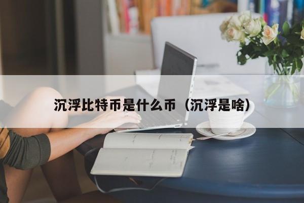 沉浮比特币是什么币(沉浮是啥)