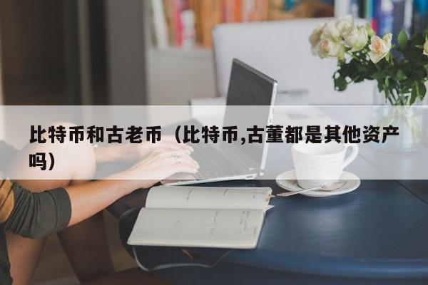 比特币和古老币(比特币,古董都是其他资产吗)