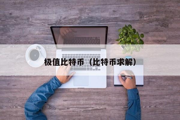 极值比特币(比特币求解)