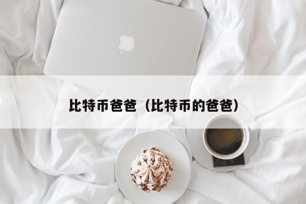 比特币爸爸(比特币的爸爸)