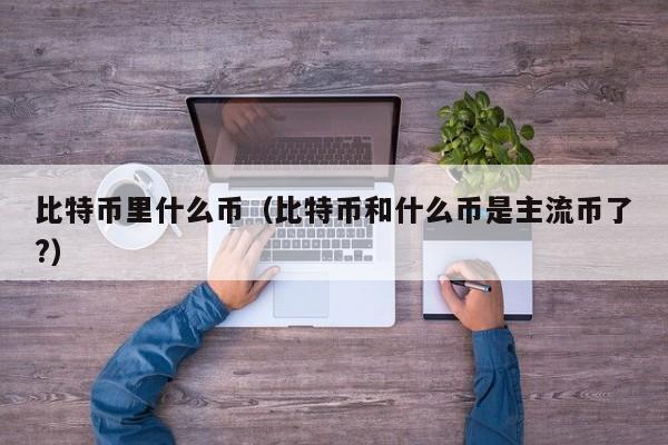 比特币里什么币(比特币和什么币是主流币了?)