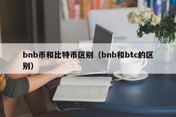 bnb币和比特币区别(bnb和btc的区别)