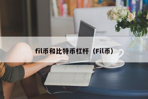 fil币和比特币杠杆(Fil币)