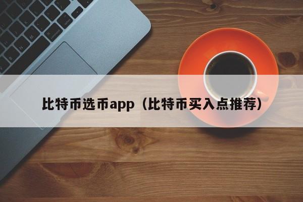 比特币选币app(比特币买入点推荐)
