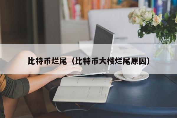 比特币烂尾(比特币大楼烂尾原因)