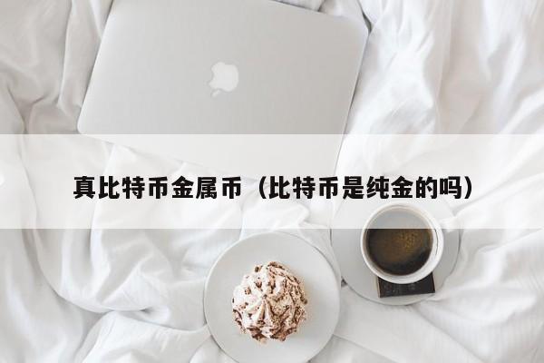 真比特币金属币(比特币是纯金的吗)