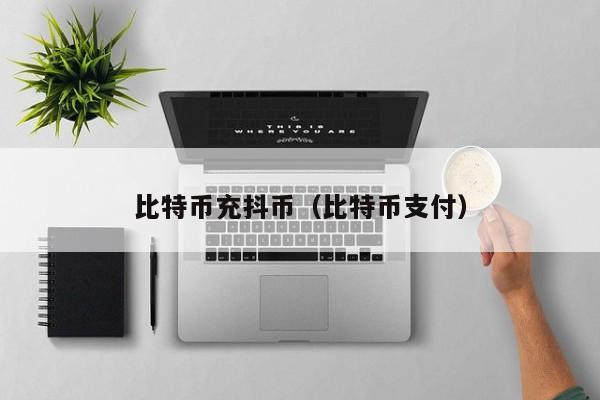 比特币充抖币(比特币支付)